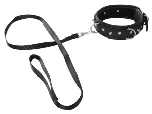  Collar and Leash