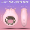 Vibrator Desire, 9 Moduri Stimulatoare, Silicon, USB, Roz, Mokko Toys