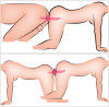  2in1 Vibrator + Butt Plug 