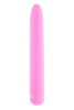 Carnation